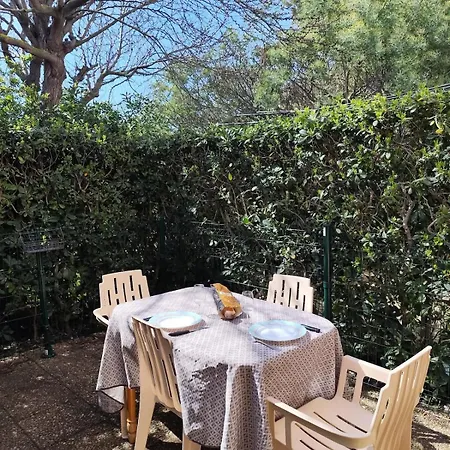 公寓 Cap D Familial Terrasse 4 Min 阿格德